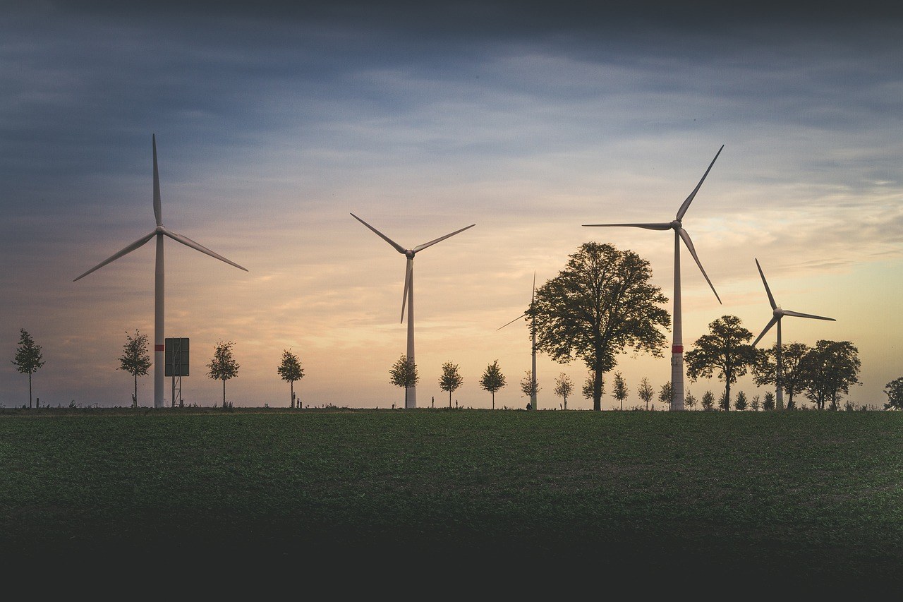 ISO 14001SAV — Environmental Management and Energy Efficiency