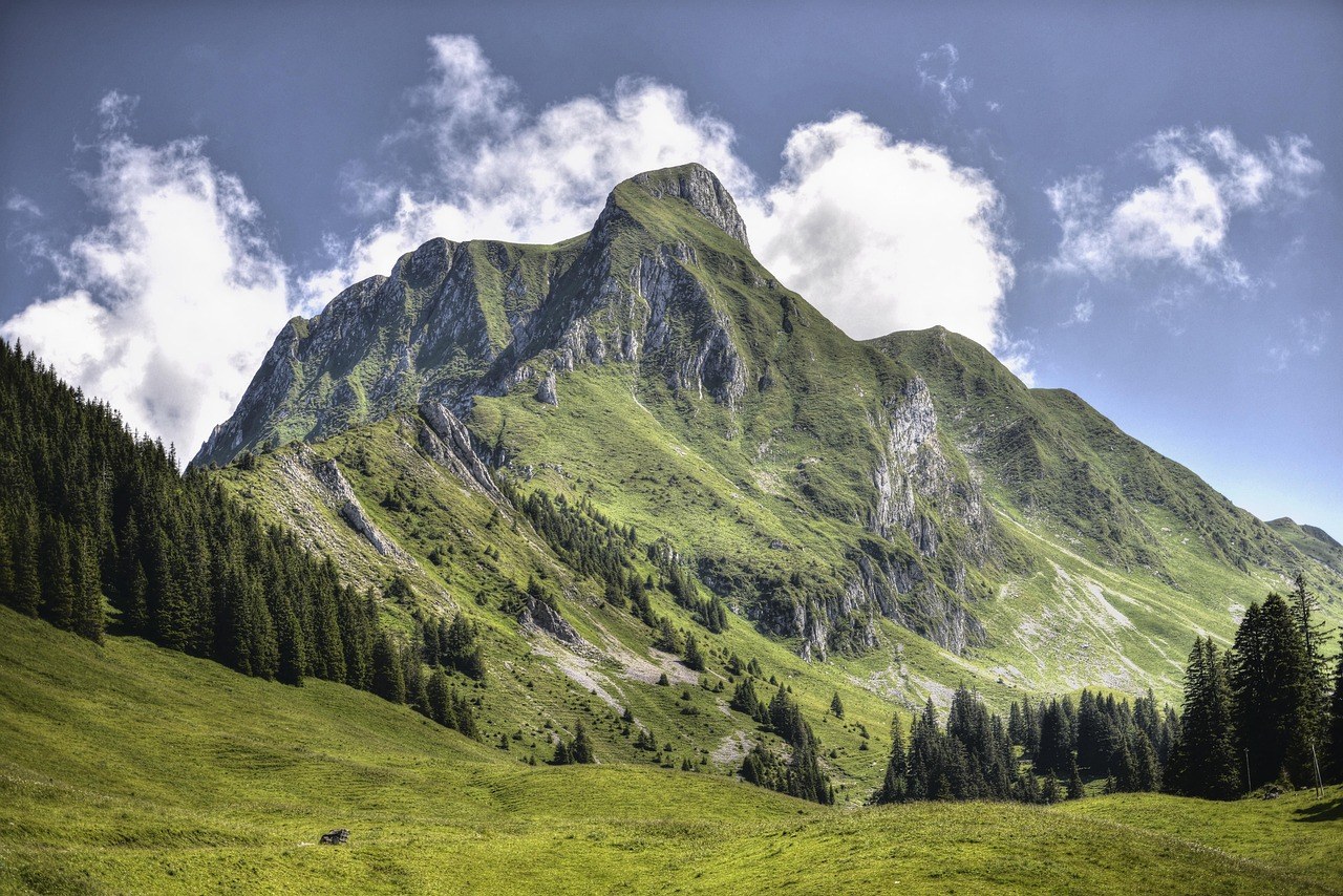 ISO 14001TUR — Environmental Management in Tourism