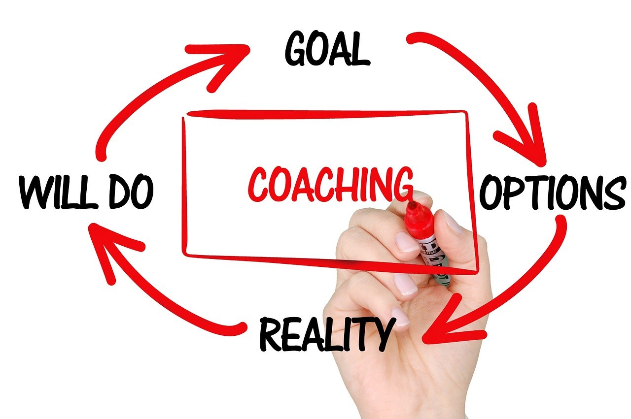 Process Excellence Professional