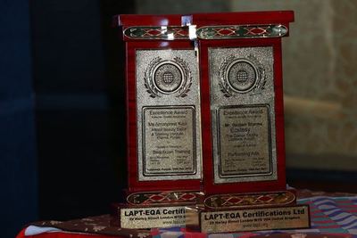 Excellence Awards presented by the Chief Assessment Director